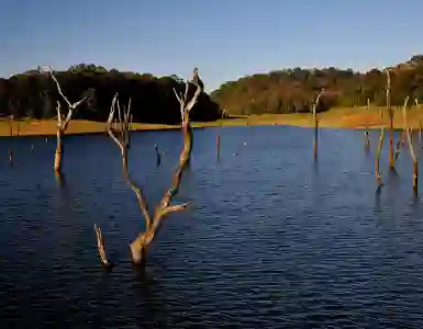 Kerala Backwater Tour